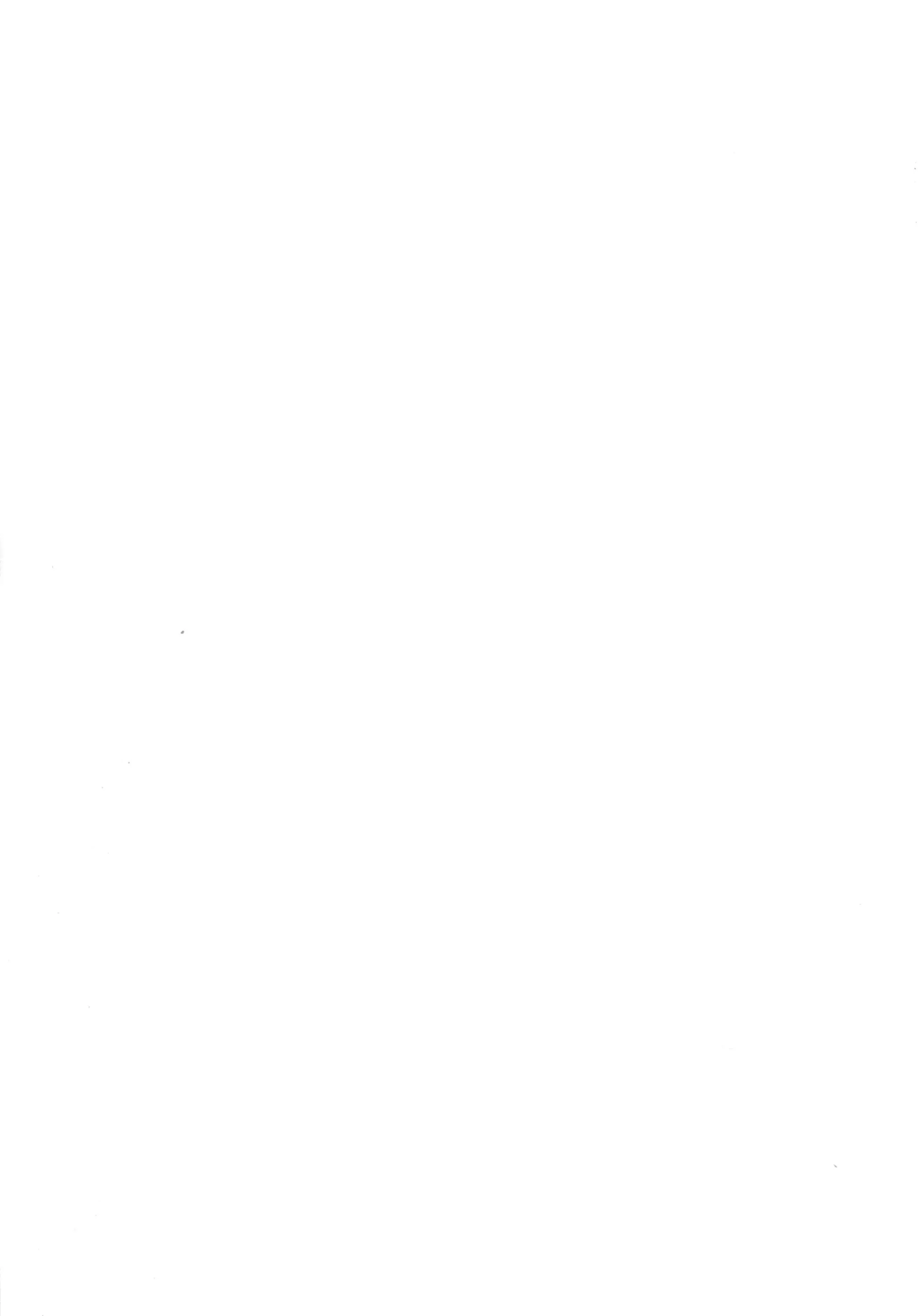 17475641828571.webp