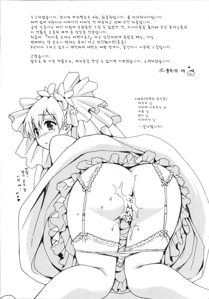17545428617712.webp