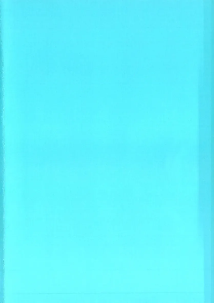 17547030485747.webp