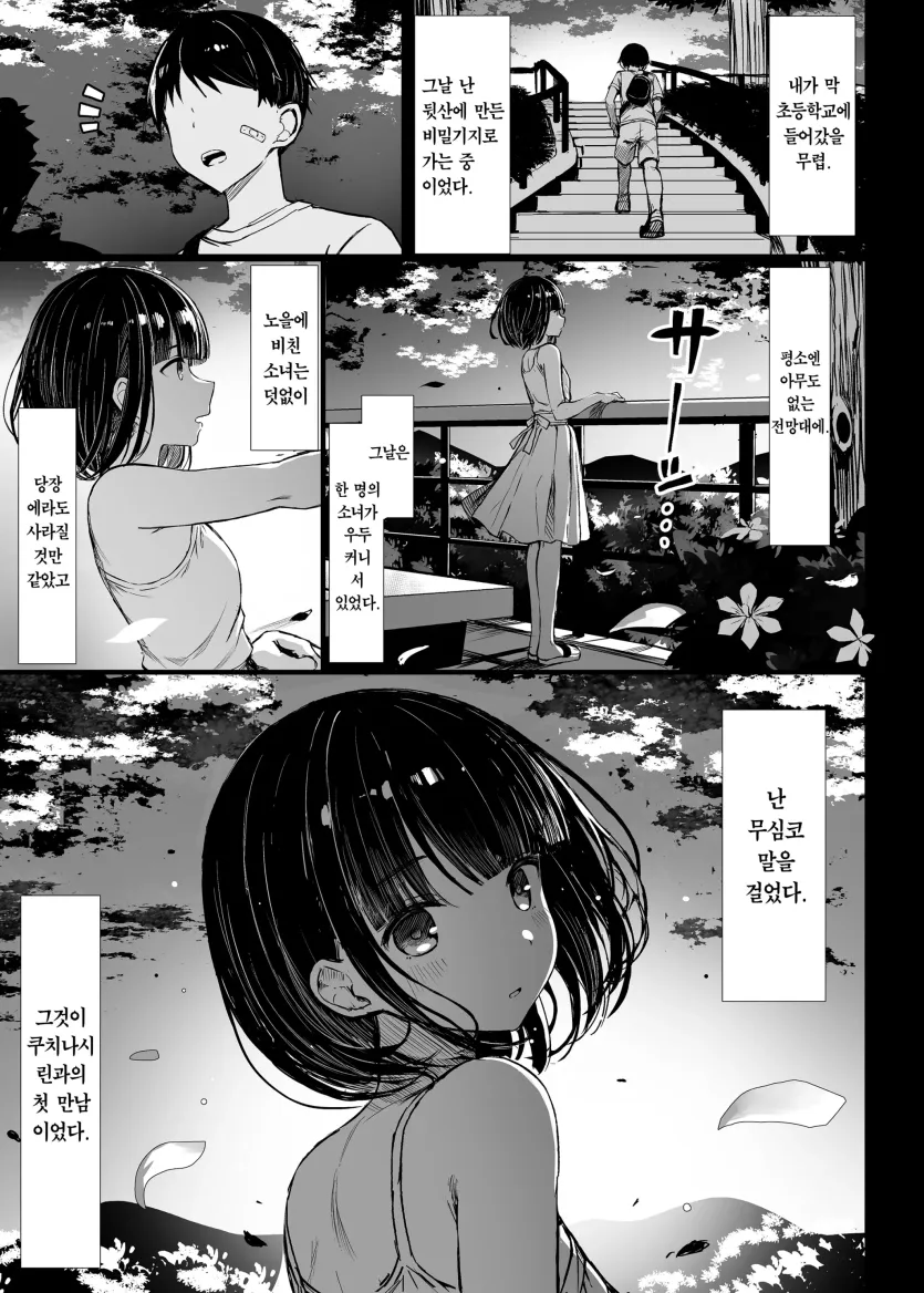 1756432830037.webp