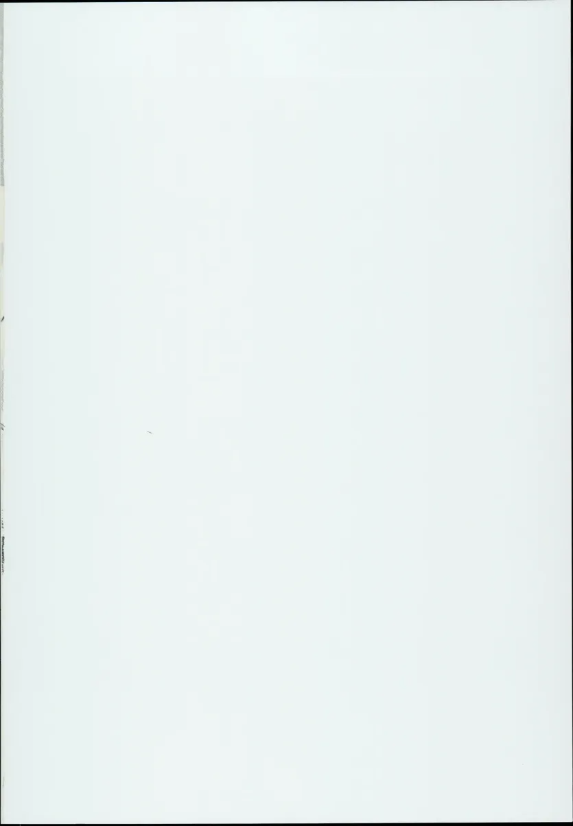 17564382187615.webp